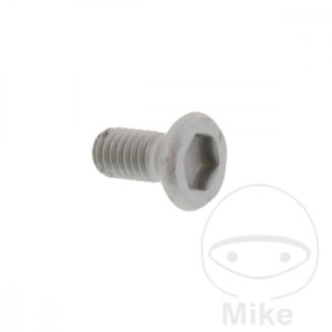 Vis de disque de frein (Pièce origine OE