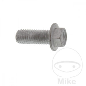 Vis de Disque de Frein (pièce origine)