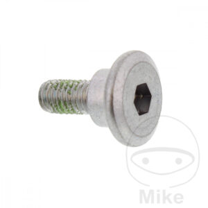 Vis de Disque de Frein (pièce origine)