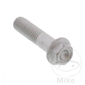 Vis 6 Pans (pièce origine)