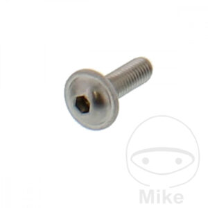 Vis de fixation M5x0.8 16mm Acier inoxydable