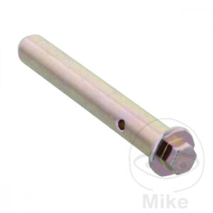 Axe de plaquette de frein (Pièce Origine