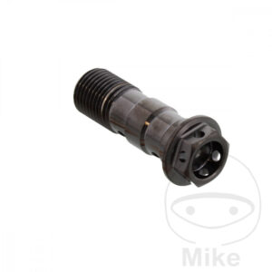 Vis Banjo Double M10 x 1.00