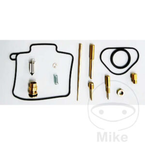 Kit de réparation de carburateur Tourmax