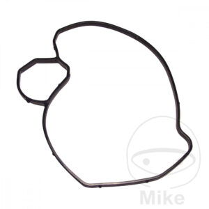 Joint Carter pompe à eau (Pièce origine)