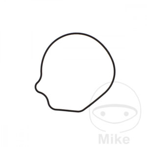 Joint pompe à eau Tourmax