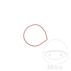 Joint Carter couvercle à eau (Pièce orig