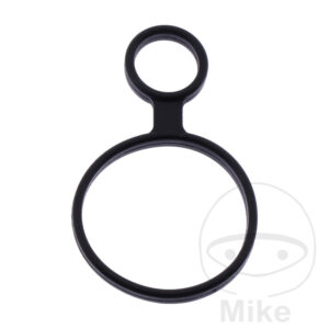 Joint de puits de bougie (Picèe origine)