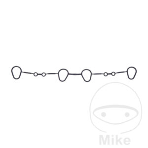 Joint de puits de bougie (Picèe origine)