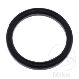 Joint de puits de bougie (Picèe origine)