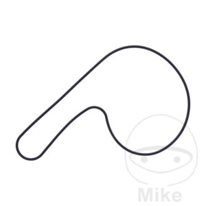 Joint de couvercle de pompe à eau (Pièce