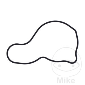 Joint de couvercle de pompe à eau (Pièce