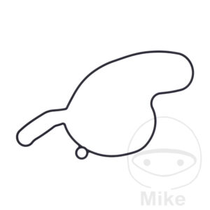 Joint de couvercle de pompe à eau (Pièce