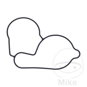 Joint de couvercle de pompe à eau (Pièce