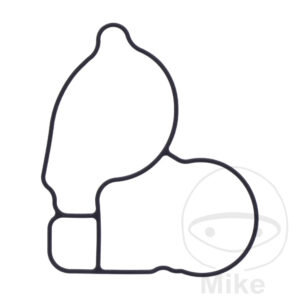 Joint de couvercle de pompe à eau (Pièce