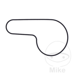 Joint de couvercle de pompe à eau (Pièce