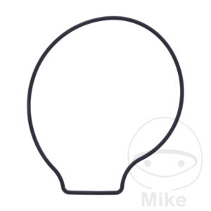 Joint de couvercle de pompe à eau (Pièce