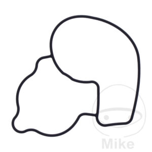 Joint de couvercle de pompe à eau (Pièce