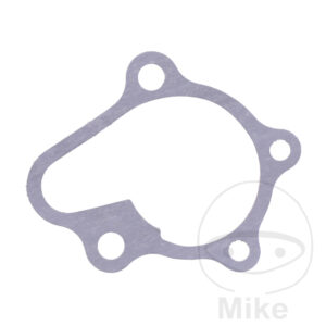 Joint de couvercle de pompe à eau (Pièce