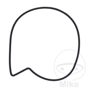 Joint de couvercle de pompe à eau (Pièce