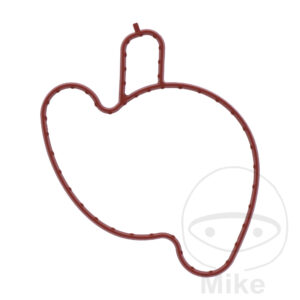 Joint de couvercle de pompe à eau (Pièce