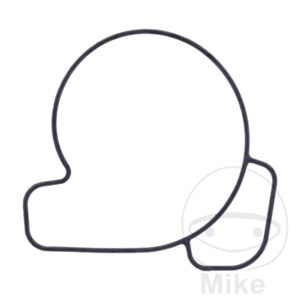 Joint de couvercle de pompe à eau Athena