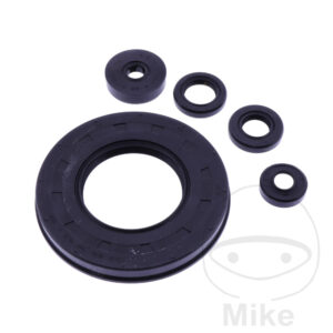 Bague d'étanchéité à lèvres Kit Tourmax