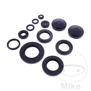 Bague d'étanchéité à lèvres Kit Tourmax