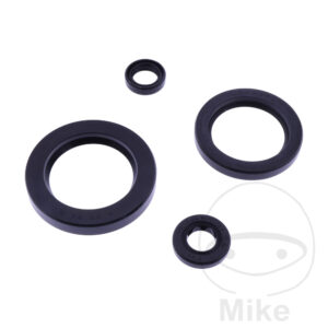 Bague d'étanchéité à lèvres Kit Tourmax