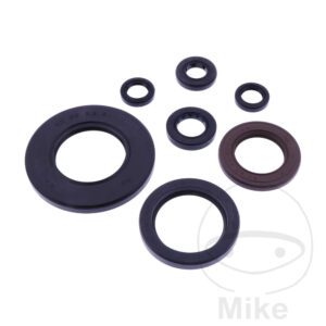 Bague d'étanchéité à lèvres Kit Tourmax