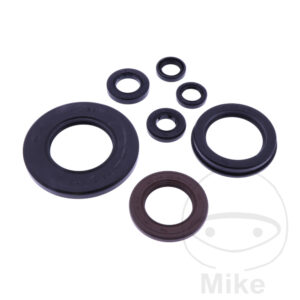 Bague d'étanchéité à lèvres Kit Tourmax