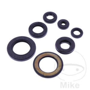 Bague d'étanchéité à lèvres Kit Tourmax