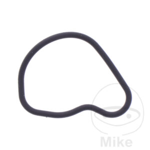 Joint Tendeur de chaîne (Pièce origine O