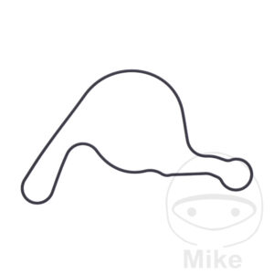 Joint de couvercle de pompe à eau (Pièce