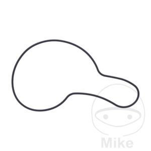 Joint de couvercle de pompe à eau (Pièce