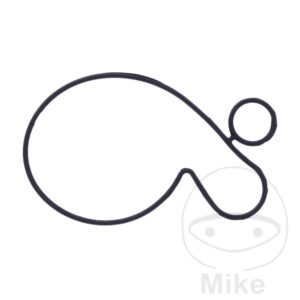 Joint de couvercle de pompe à eau (Pièce