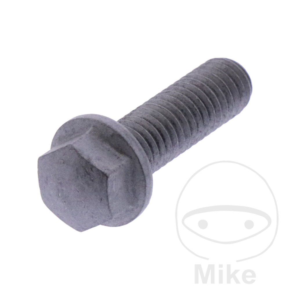 Vis de couvre culasse (Pièce origine) Royal Enfield Vis de couvre culasse (Pièces origine) Royal Enfield