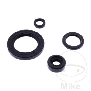 Kit Joint Spi Bas Moteur