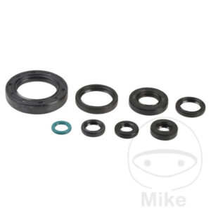 Kit Joint Spi Bas Moteur