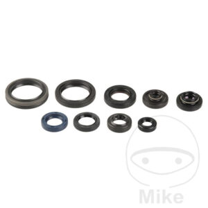 Kit Joint Spi Bas Moteur