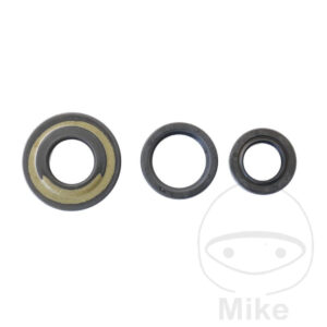 Kit Joint Spi Bas Moteur