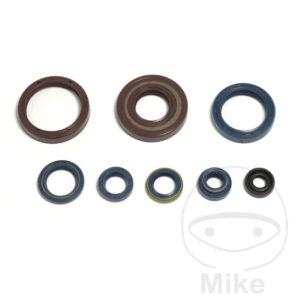 Kit Joint Spi Bas Moteur