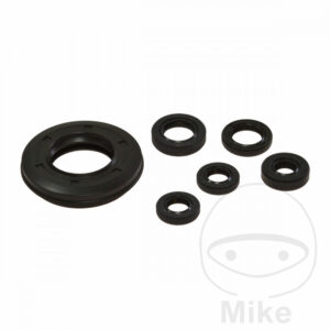 Kit Joint Spi Bas Moteur