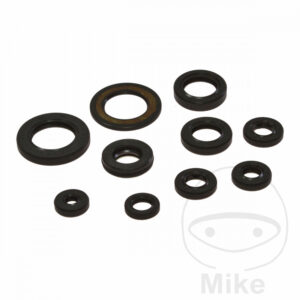 Kit Joint Spi Bas Moteur