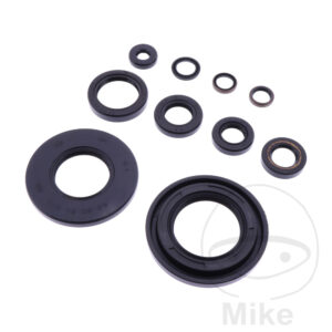 Kit Joint Spi Bas Moteur