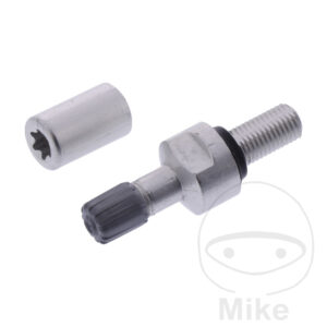 Valve droite Schrader