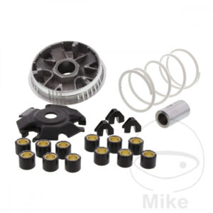 Variateur Tuning Malossi