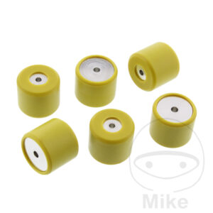 Galet variateur Satz 10 g Originalersatz