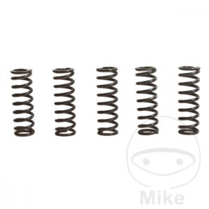 Ressorts d'embrayage renforcés TRW