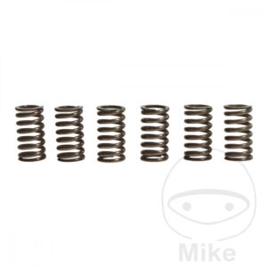 Ressorts d'embrayage renforcés TRW